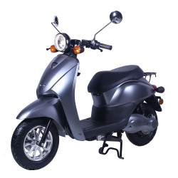 EFUN E2GO-45 ESF